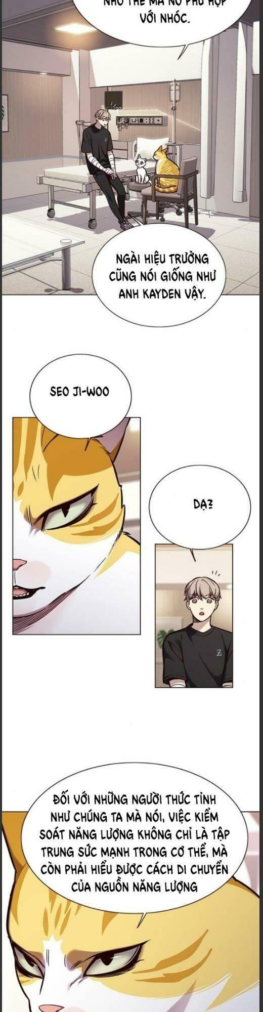 biến thân thành mèo chapter 160 18