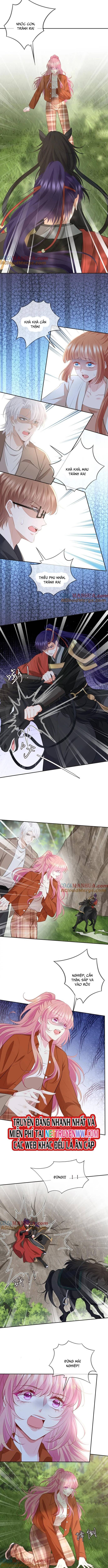 Danh Môn Chí Ái chapter 468 4