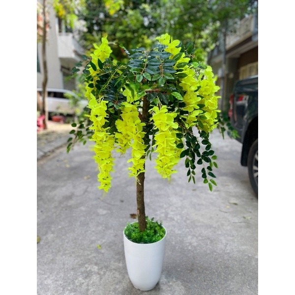 Chậu cây bồ công anh giả - Size 140cm - Cây giả, hoa lụa trang trí nhà cửa