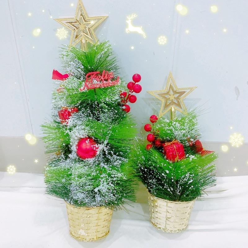 Cây thông Noel nhỏ 50cm, 30cm, trang trí Noel, cây thông Noel trang trí giáng sinh