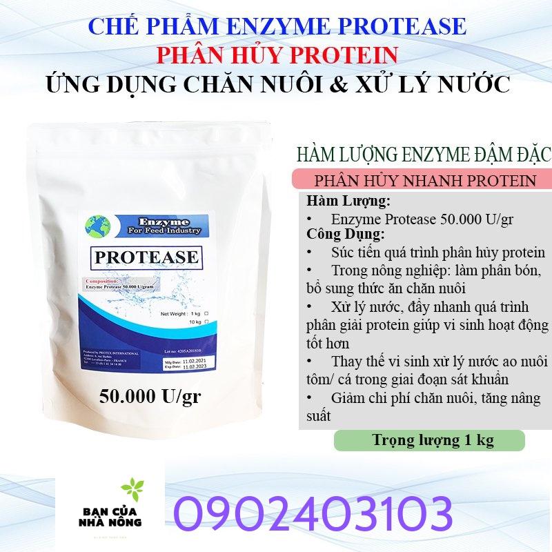 ENZYME PROTEASE Nguyên Liệu # Gói 1kg .