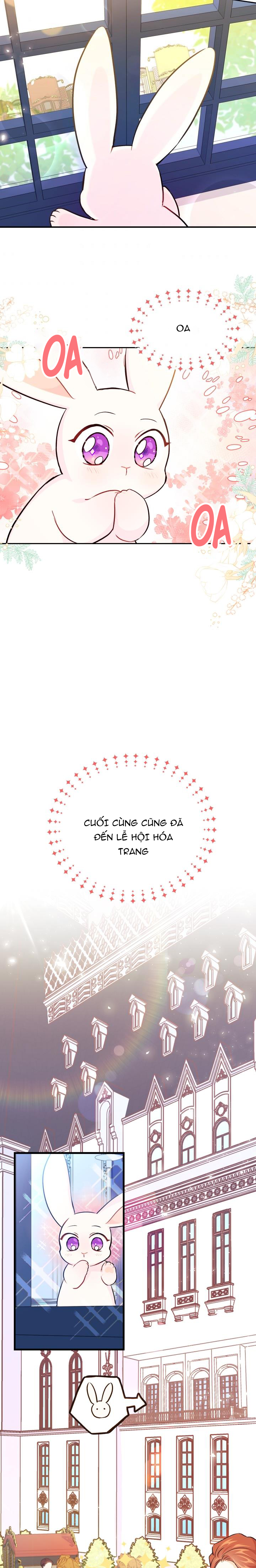 mối liên kết giữa báo đen và bé thỏ chapter 16 20