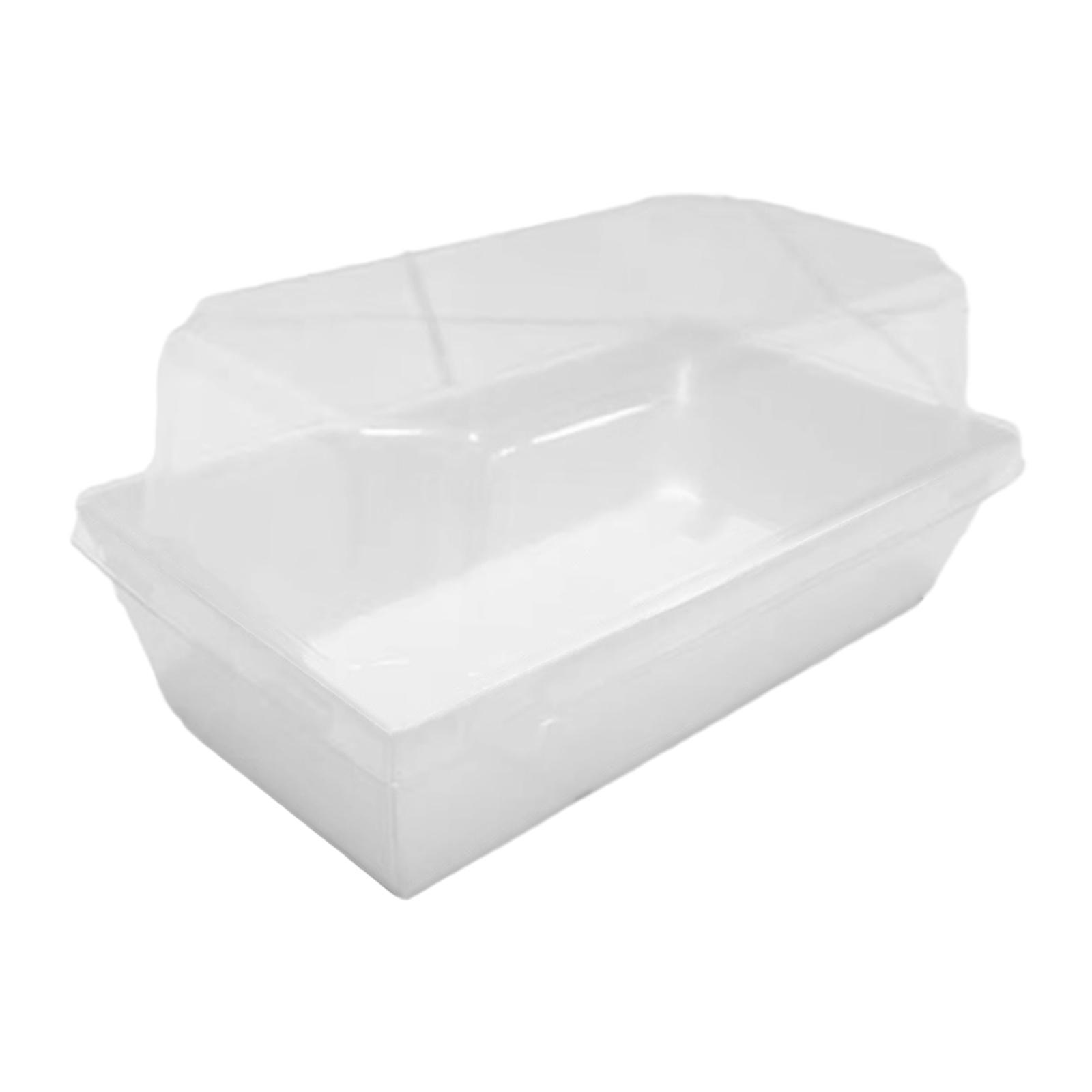 50Pcs Food Box to Go Boxes with Clear Lid Holder Rectangle Individual Store Multifunction Snack Box for Bread Cupcakes Baking Pastry