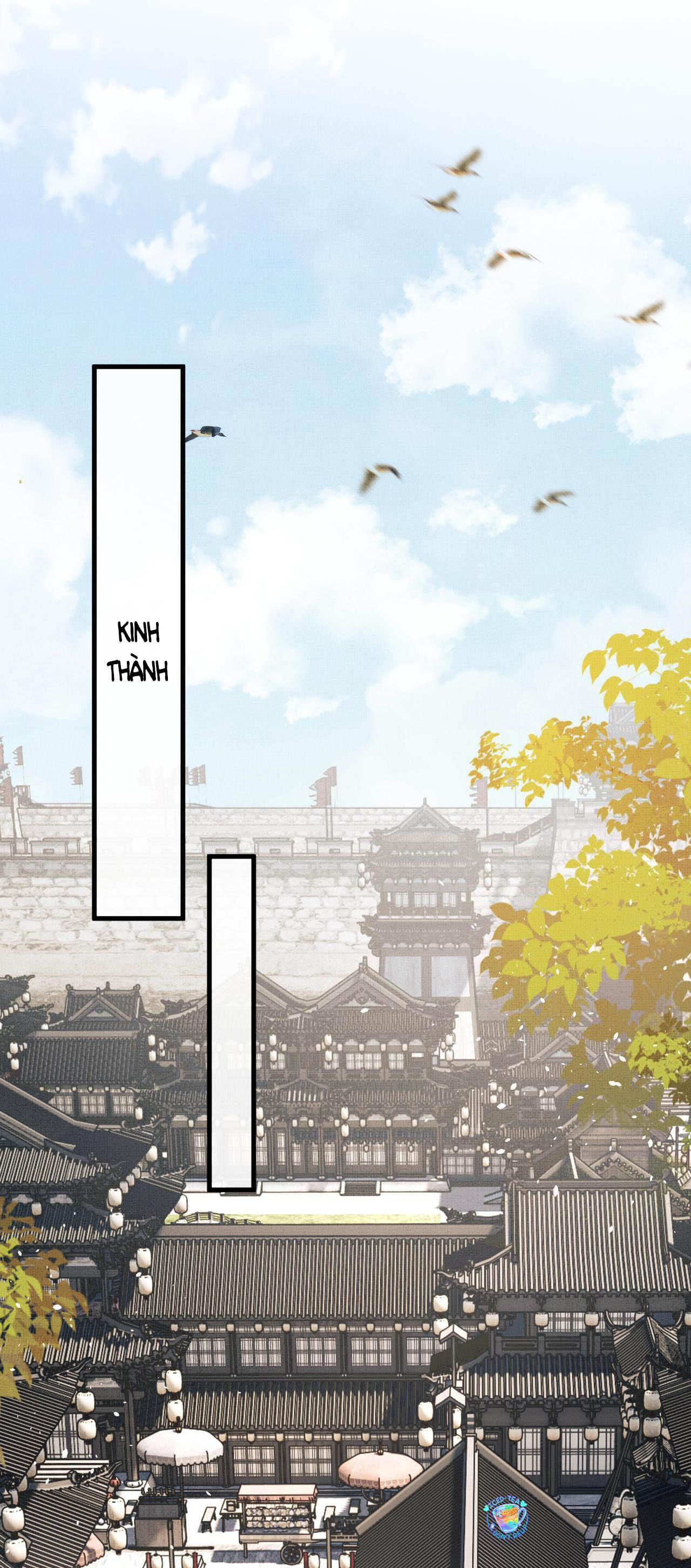 tướng quân luôn tự coi mình thành thế thân chapter 61 11