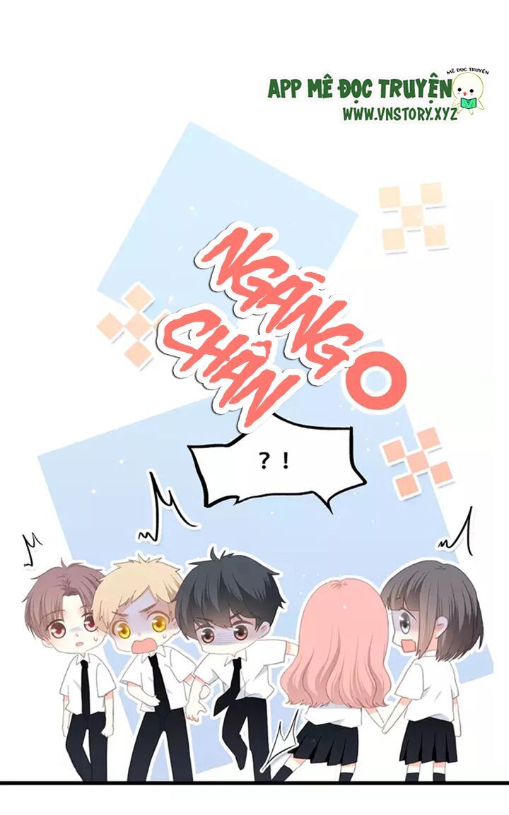 con tim rung động 2 chapter 2 46