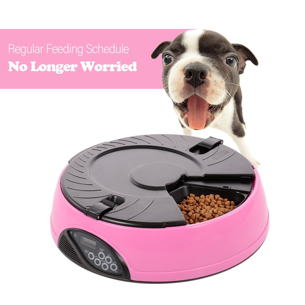 scheduled dog feeder