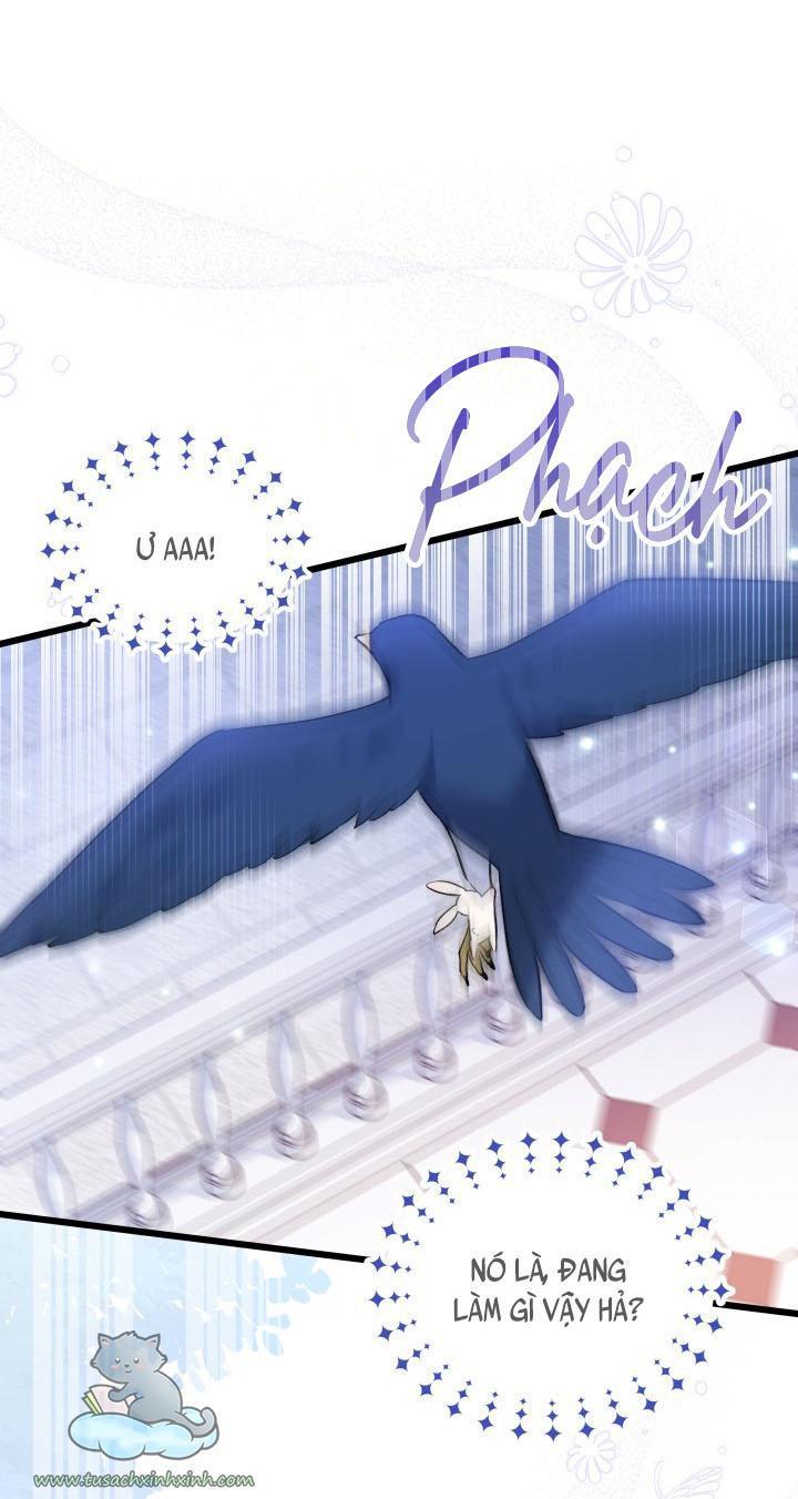 quan hệ cộng sinh giữa báo đen và thỏ trắng chapter 57 19