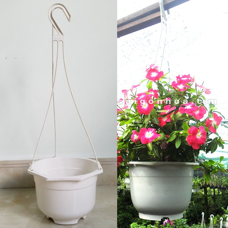 50 chậu treo trắng trơn đường kính 20x15cm-77472