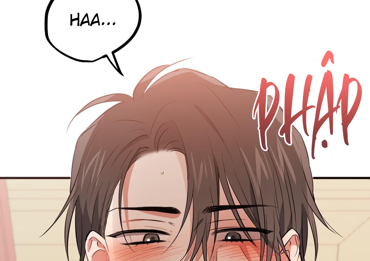 đàn thỏ của habibi chapter 63 138