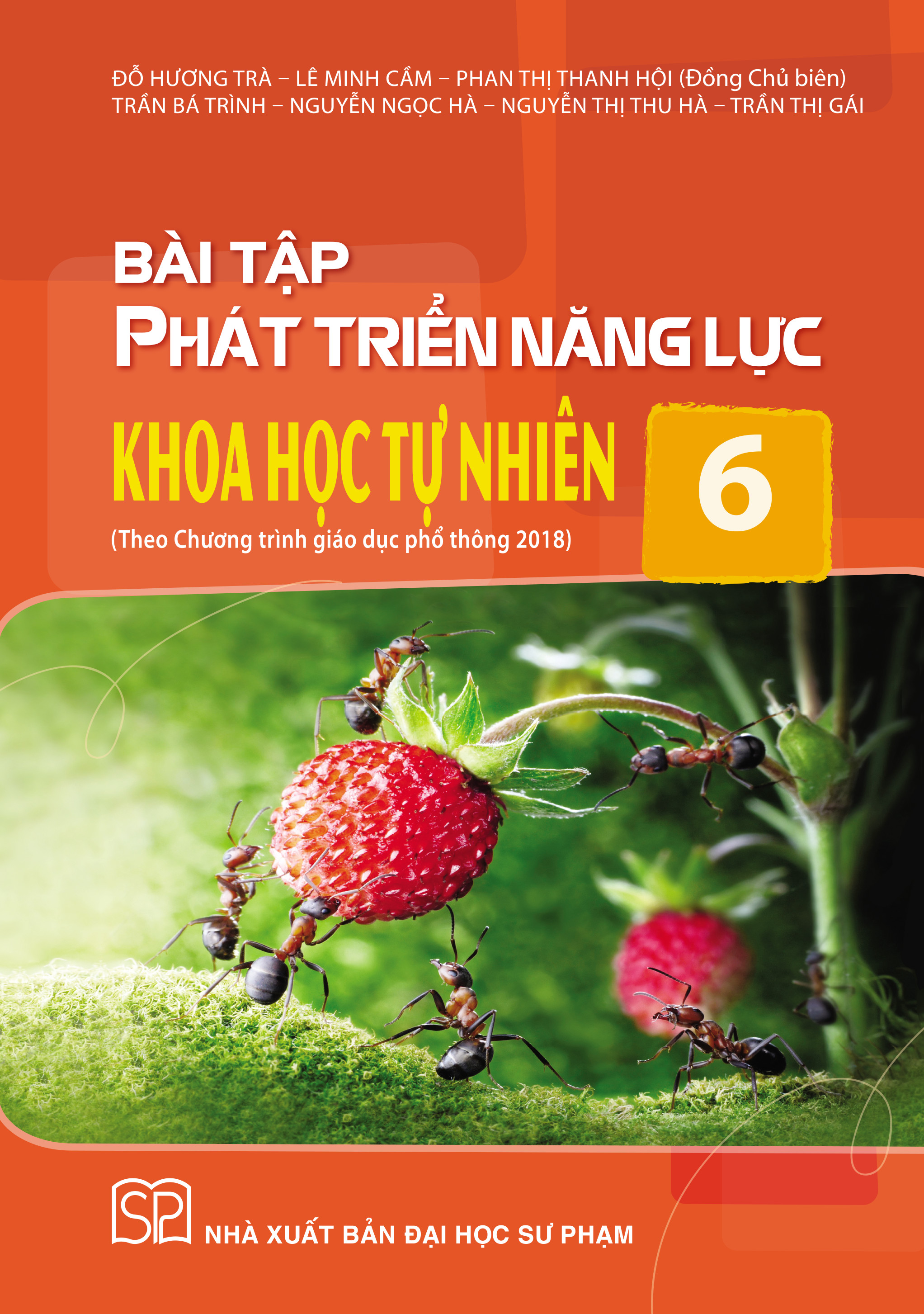 Trọn bộ: Bài Tập Phát Triển Năng Lực Lớp 6