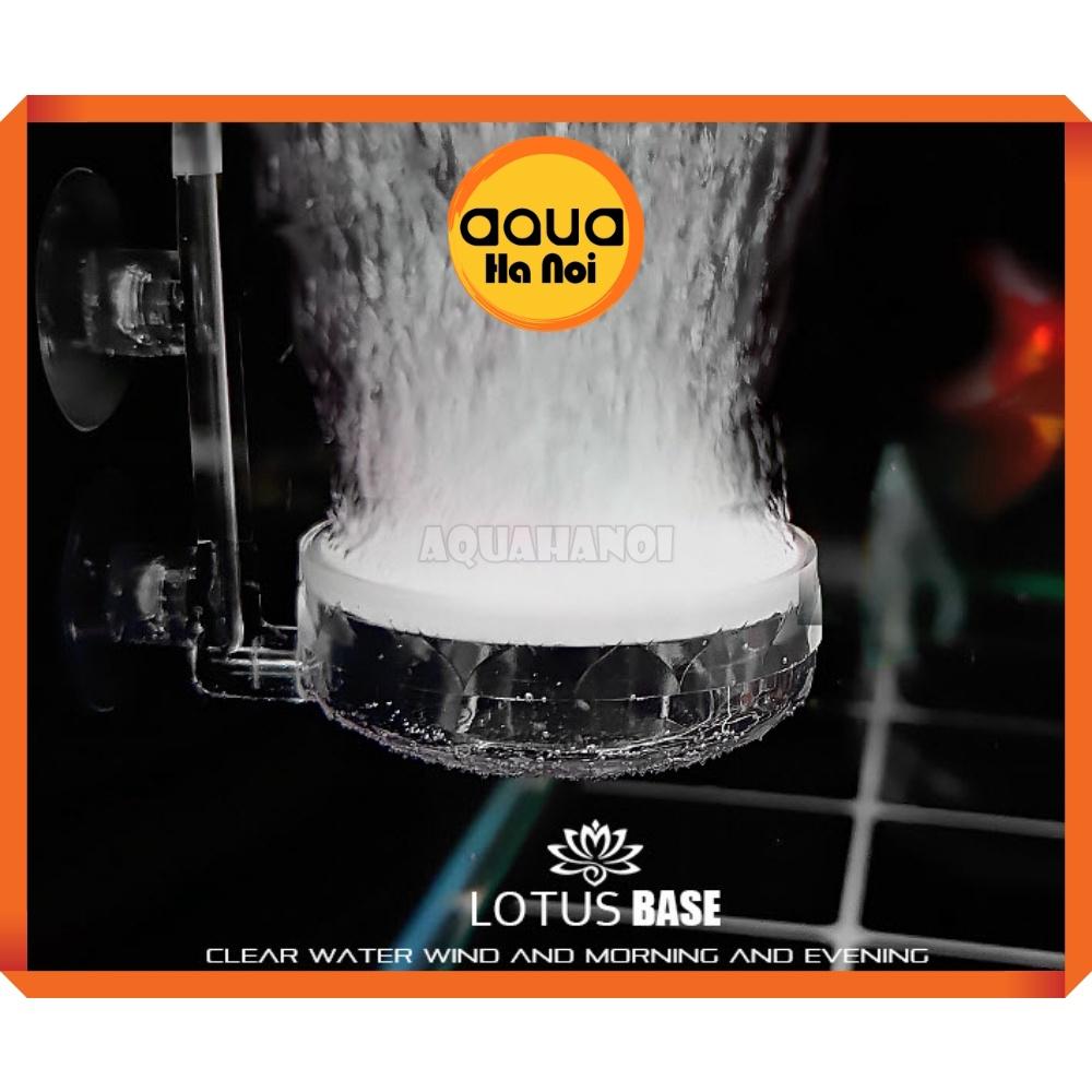 Đĩa sủi Oxy siêu mịn hồ cá thủy sinh - hoa sen Lotus - acrylic trong suốt Phi 12/35/60 mm