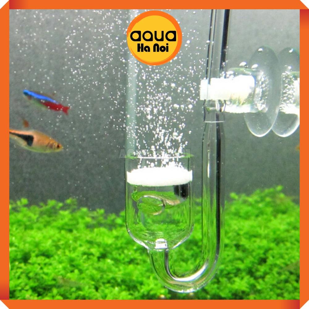 Cốc sủi co2 thủy tinh trong suốt siêu mịn cho bể thủy sinh - Phi 2cm