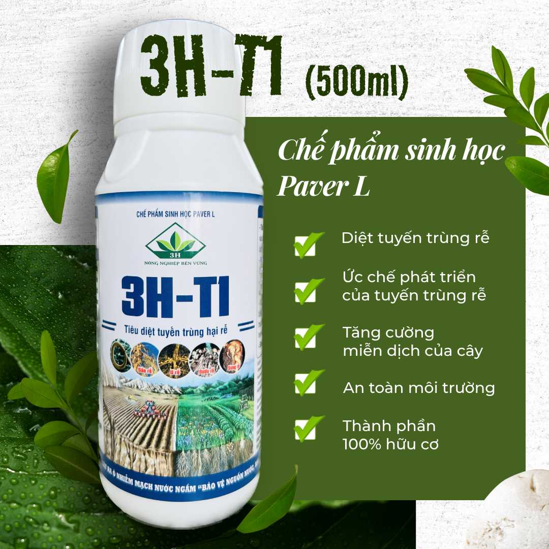 Chế phẩm sinh học Paver L 3H-T1 - Tiêu diệt tuyến trùng hại rễ 500ml - CAY.CH.OM.010003