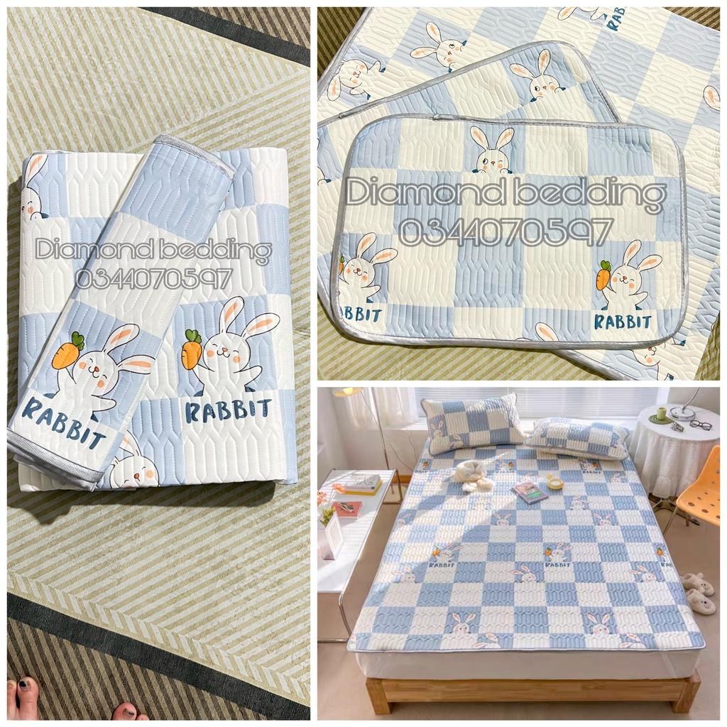 Chiếu điều hoà cao su non 2D Tencel Latex có in hoạ tiếtH&H BEDDING