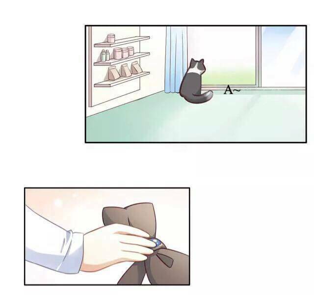 dưới móng vuốt mèo chapter 16 13