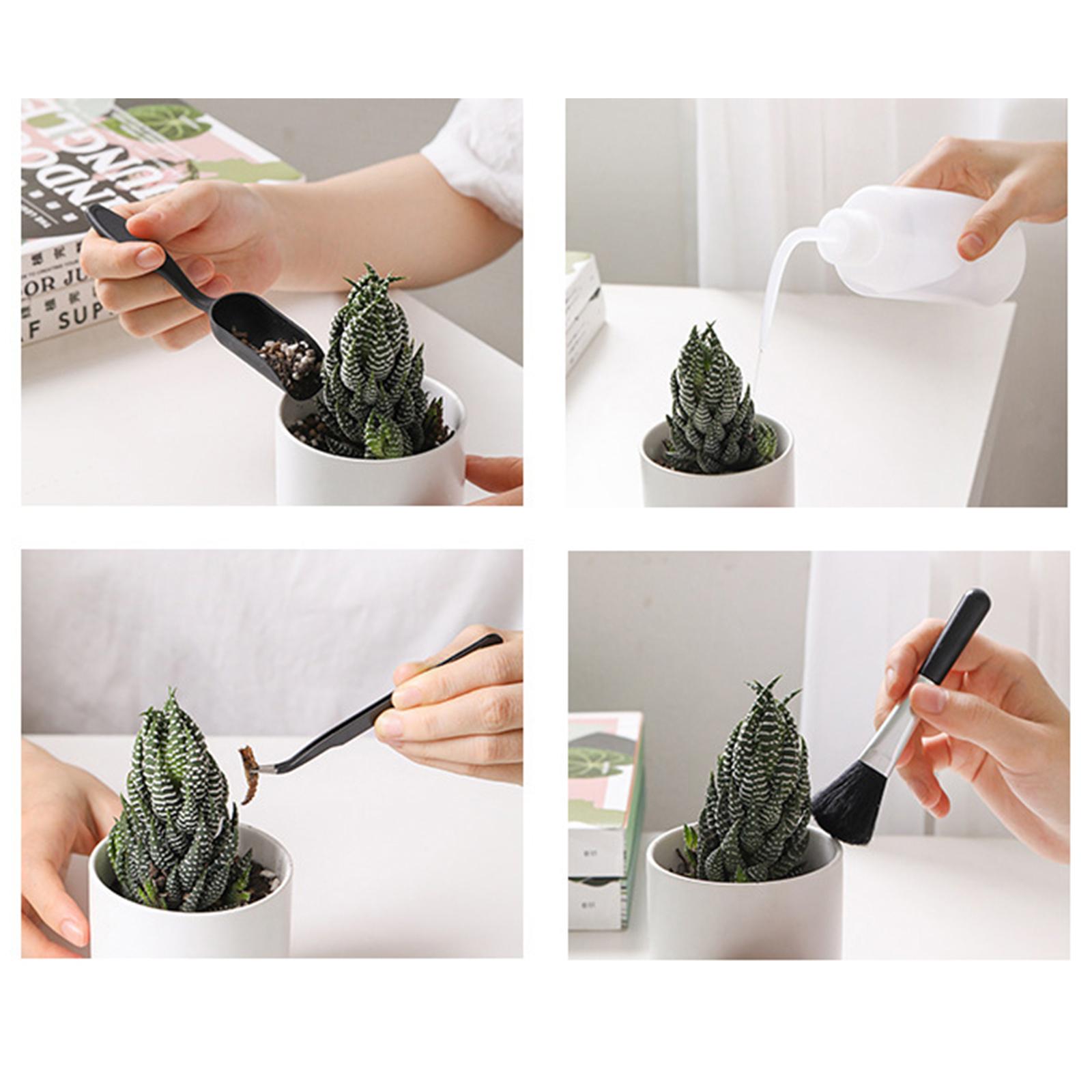 Bộ Dụng Cụ Trồng Vườn Cây Cảnh