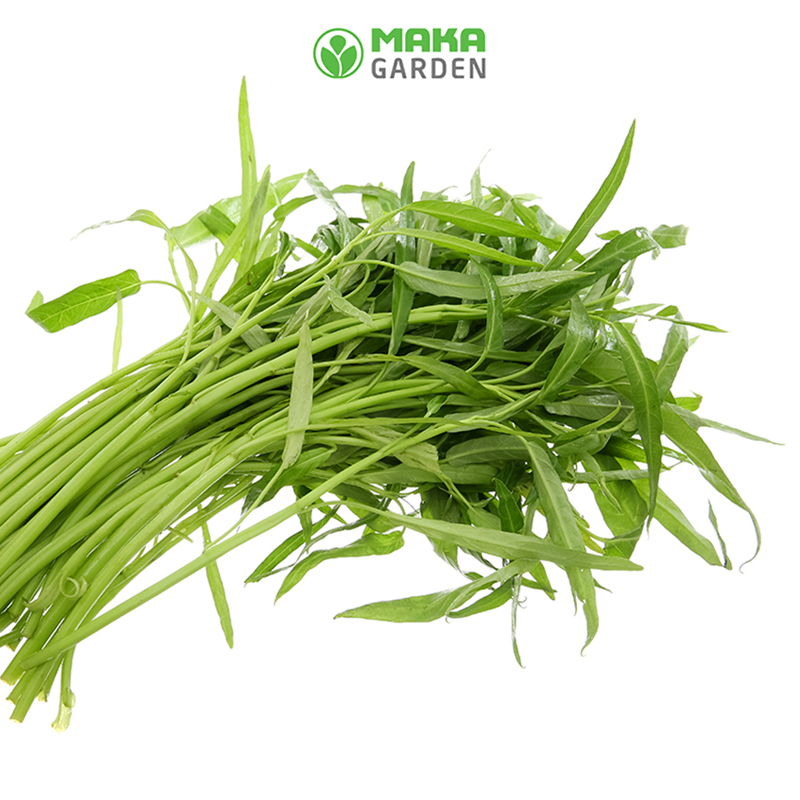 Hạt Giống Rau Muống Lá Tre Rado 12 - Gói 50Gr - Dễ Trồng, Sinh Trưởng Tốt, Năng Suất Cao