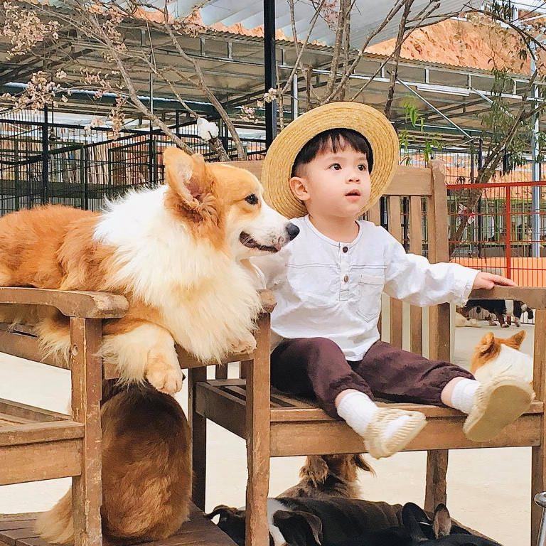 Tour Đà Lạt 3N3Đ: Vườn Hoa Cẩm Tú Cầu - Trại Cún Puppy - Đường Hầm Đất Sét - Que Garden, Khởi Hành Tối Thứ 5 Hàng Tuần