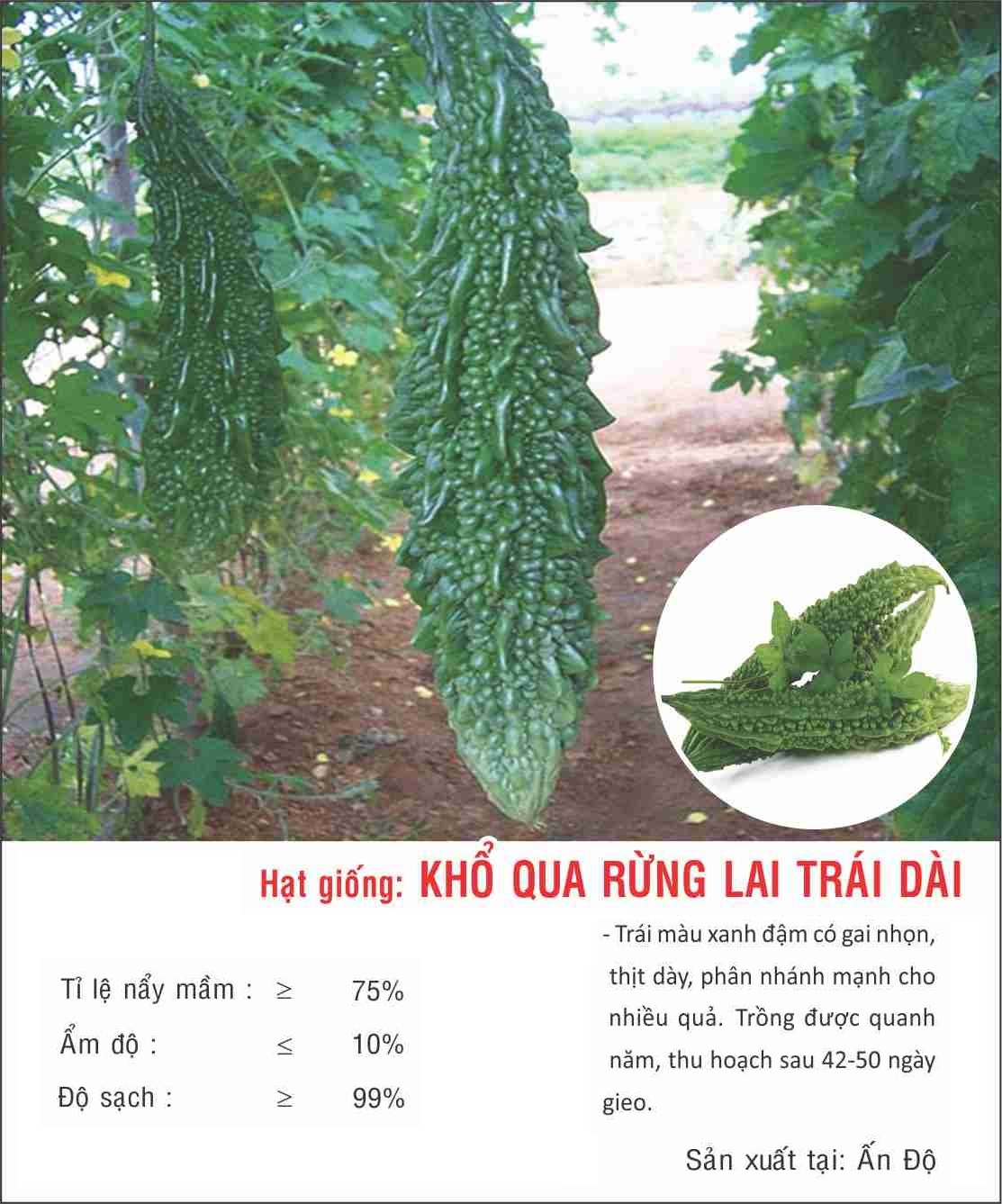 Hạt giống khổ qua rừng trái Dài giống kháng sâu bệnh - nảy mầm khỏe VTP126