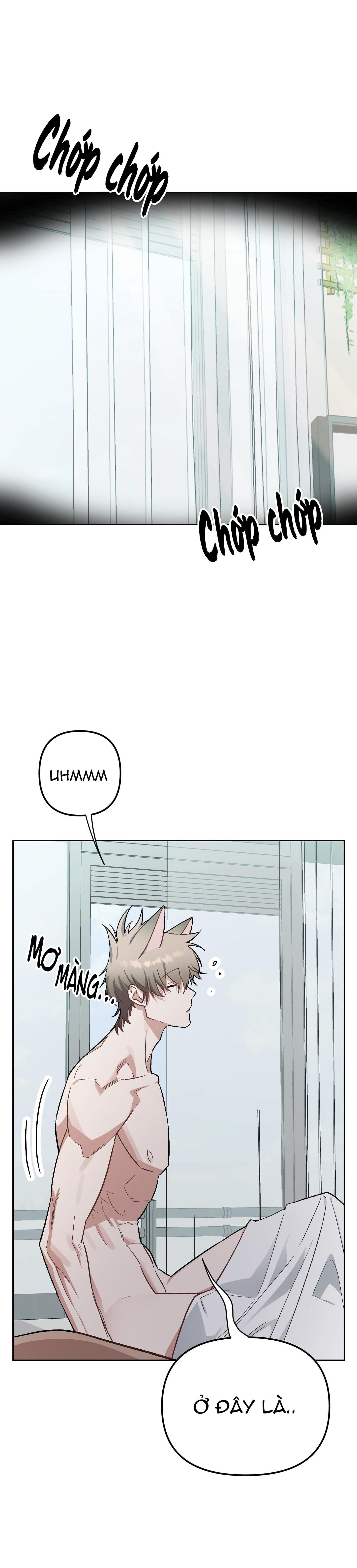 chú thỏ chỉ cần 3 giây là xuất tinh chapter 5 1