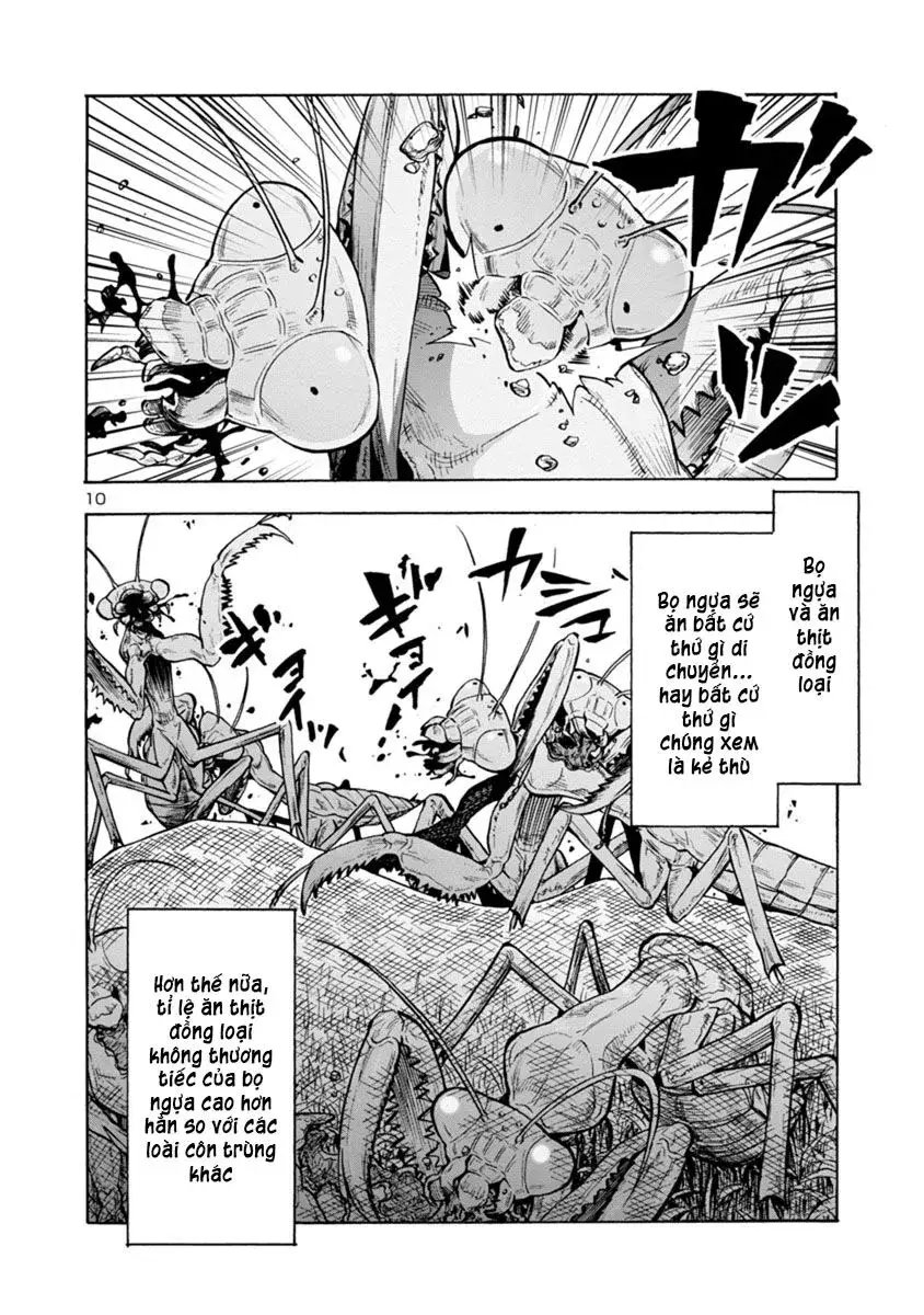 Siêu Đảo Côn Trùng chapter 11.2 10