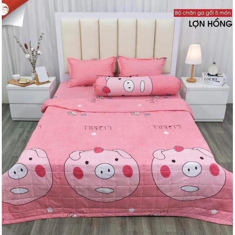 Chăn ga gối - Bộ drap 5 món cotton poly nhiều mẫu đủ size