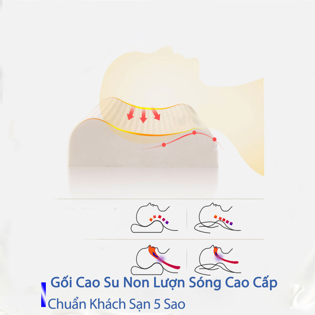 Gối Cao Su Non Người Lớn Cao Cấp Chính Hãng Chuẩn Khách Sạn 5 Sao Gối Cao Su Non Lượn Sóng Massage Cho Người Đau Vai Gáy Gối Đầu Nằm Ngủ  Kê Chống Mỏi Cổ Từ Cao Su Non Thiên Nhiên Cao Cấp Cho Người Lớn 50cmx70cm