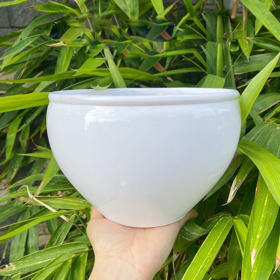 Bộ 2 chậu hoa nhựa lan bầu màu trắng 20x14cm