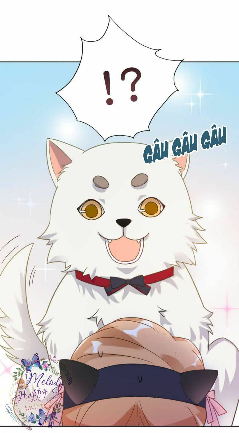 ma lạt thiên kim đẩu ác thiếu chapter 11 13