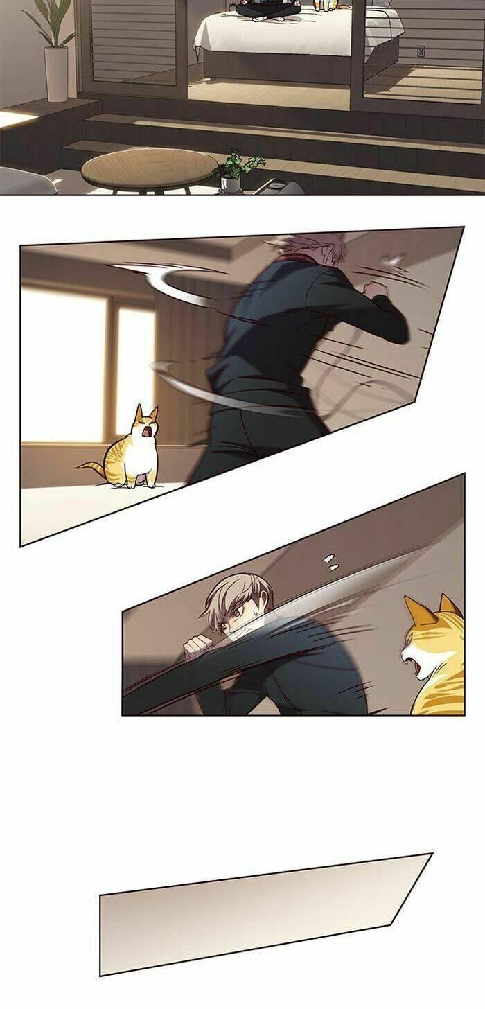 biến thân thành mèo chapter 83 30