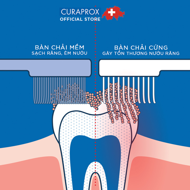 Bộ chăm sóc răng niềng Curaprox Ortho Kit