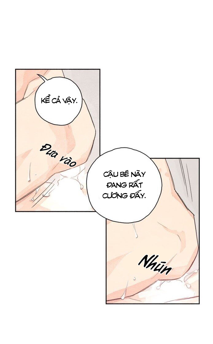 bắp cải bên dưới củ cải chapter 2 24