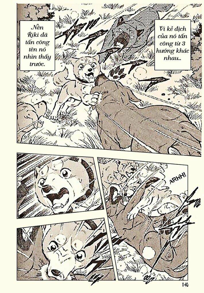 ginga densetsu riki chapter 5 4