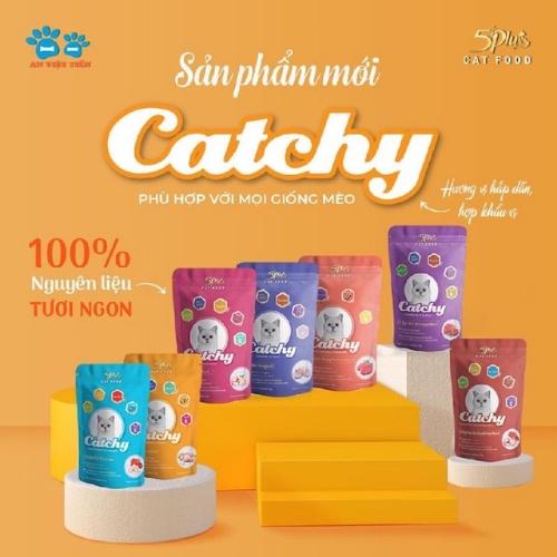 Pate Catchy 5plus dành cho mèo cưng dạng gói 70g nhiều vị