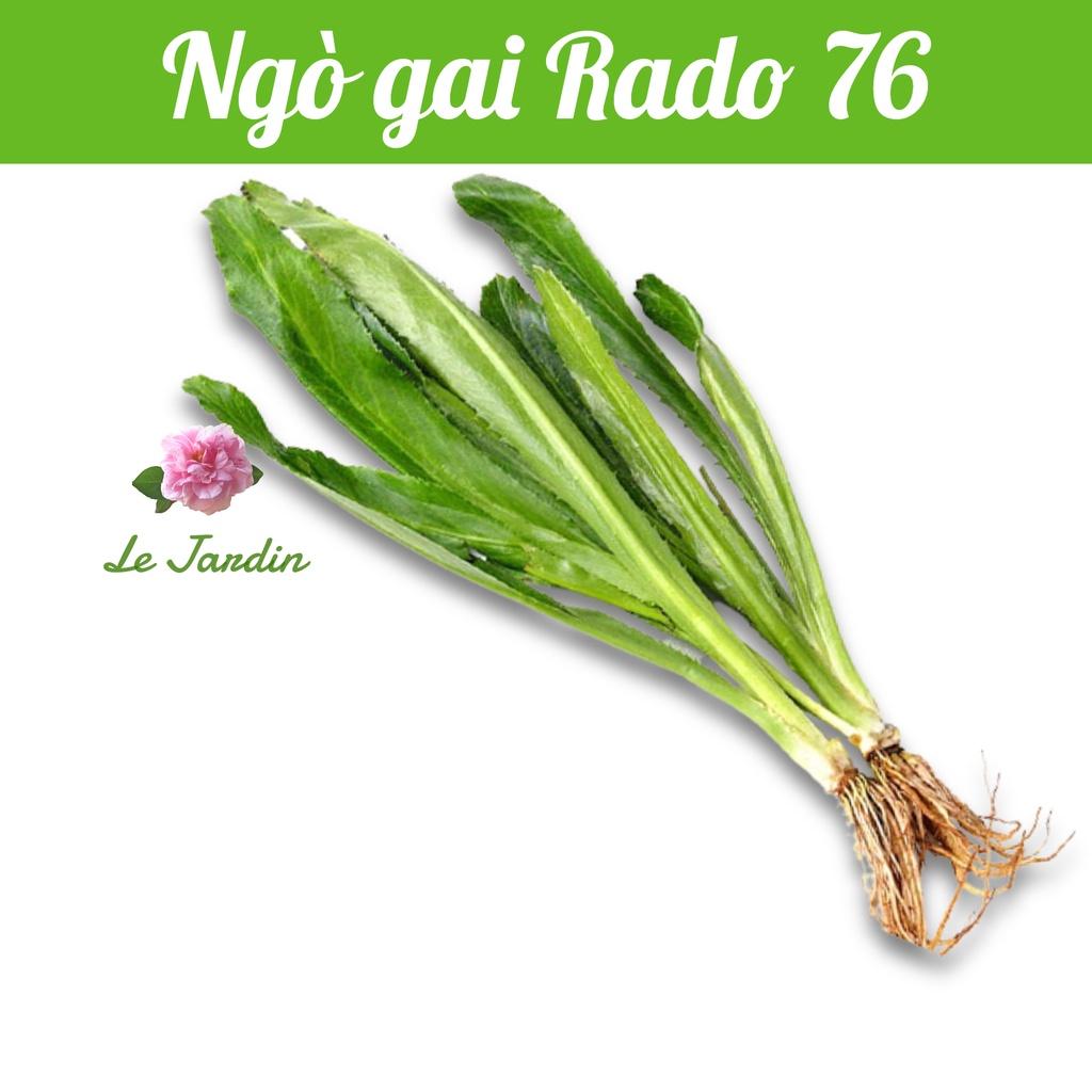 Hạt giống ngò gai RD76 gói 10gr - Dễ trồng