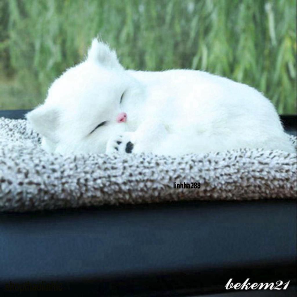 -Bán thú bông than hoạt tính - mèo trắng Siêu rẻ,có thể kêu meomeo-MÈO TRẮNG DỄ THƯƠNG LOẠI LỚN 28CM X 21CM