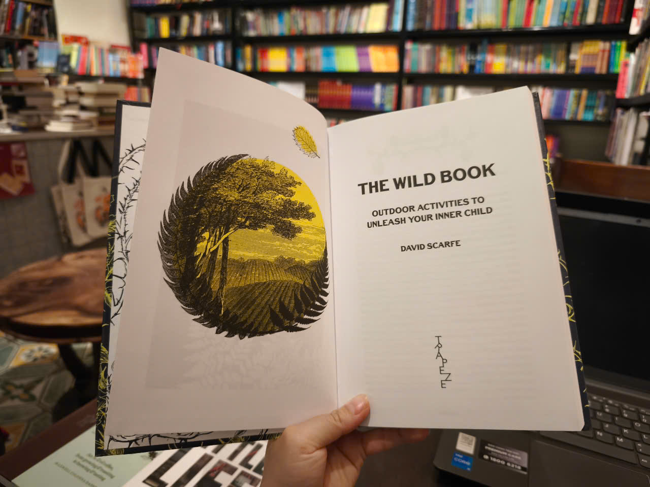 Sách - The Wild Book: Outdoor Activities to Unleash Your Inner Child by David Scarfe