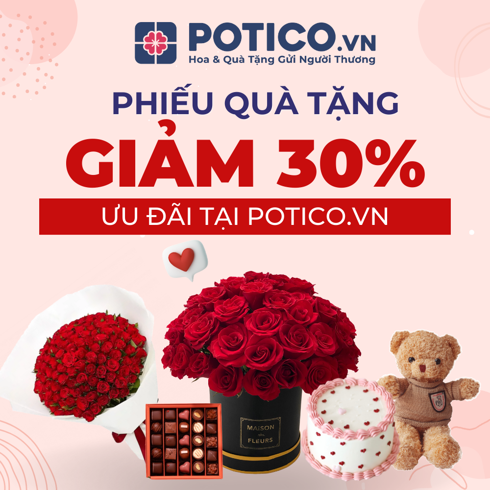 HCM Mã giảm giá 30% tối đa 100k cho mọi đơn hàng tại web/app Potico.vn