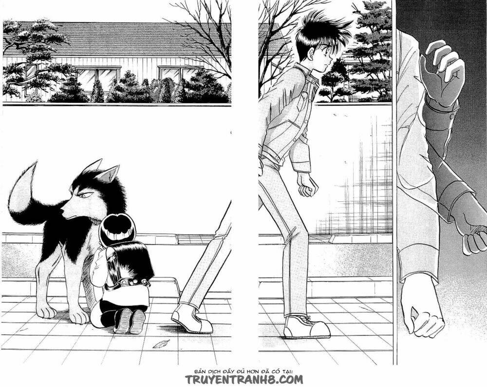 wild half chapter 4 20