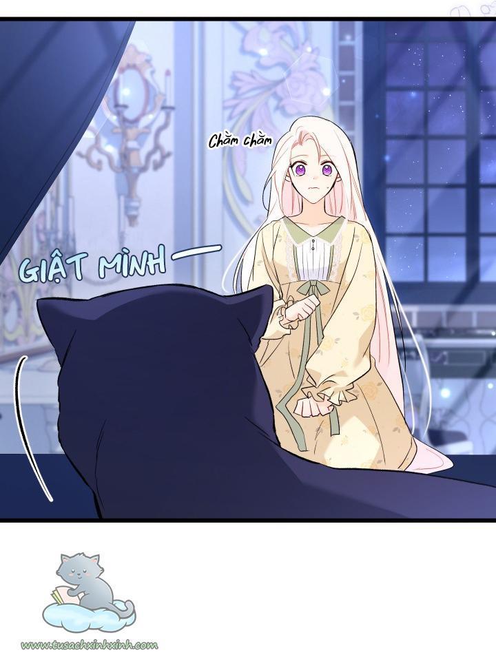 quan hệ cộng sinh giữa báo đen và thỏ trắng chapter 54 33