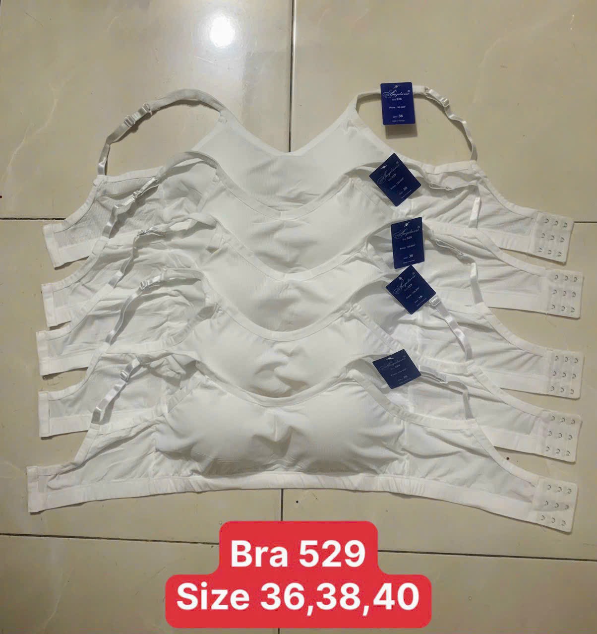 Áo lót nữ Angelavic 529 – Bra thun lạnh tăm, mút liền, cài sau, không gọng, nâng đỡ thoải mái