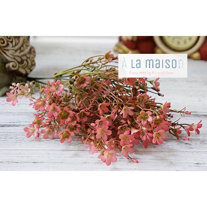Hoa giả - Cụm hoa diên vỹ nhí vô cùng xinh xắn decor không gian sinh động