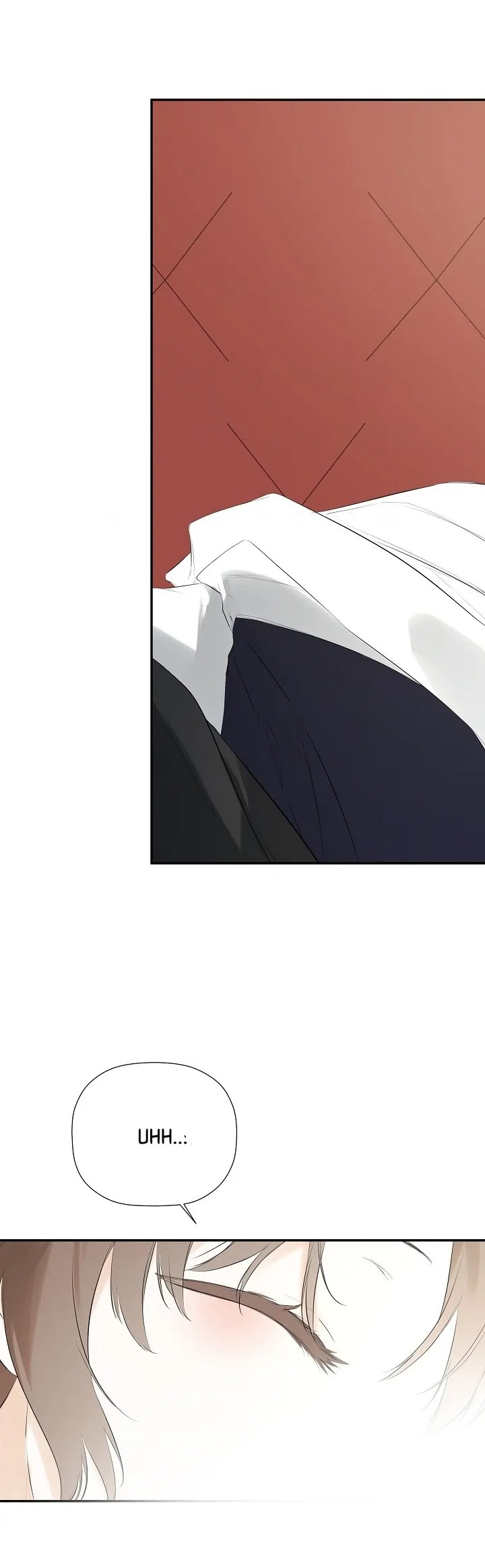 tôi biết bí mật của nam phụ chapter 50 21