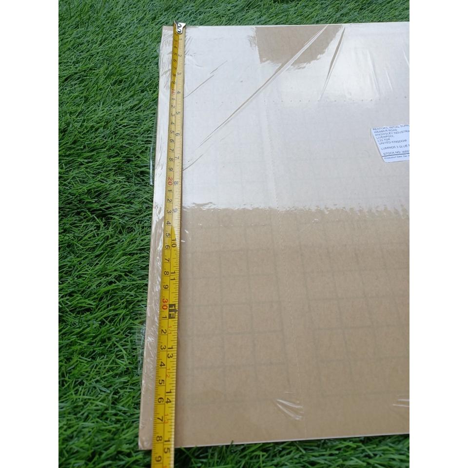 1 Miếng keo dính ruồi dùng trong nhà hàng quán ăn