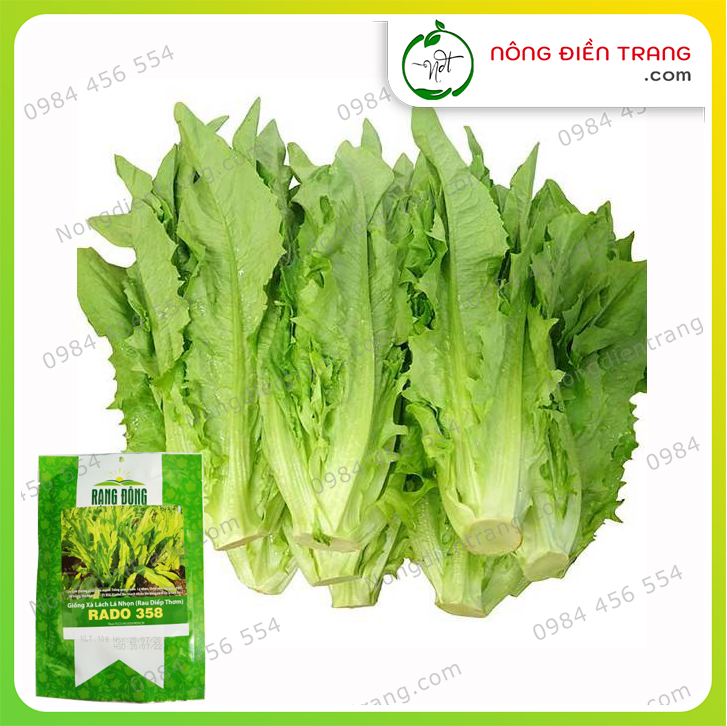 Hạt giống Xà Lách Lá Nhọn - Gói 10g - Dễ Trồng, Sinh Trưởng Khỏe, Có Thể Thu Hoạch Nhiều Lần VTNN Nông Điền Trang