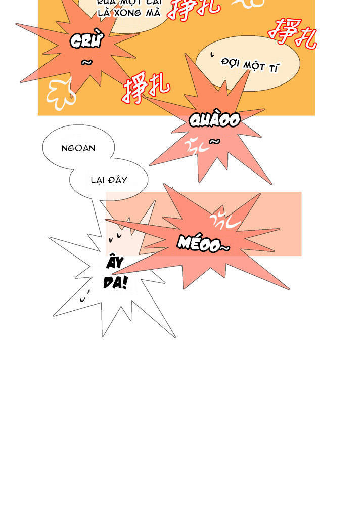 wildcat chapter 2 12