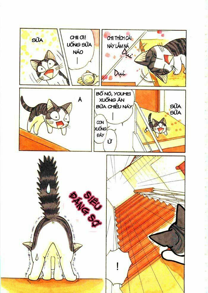 chi's sweet home chapter 62 8