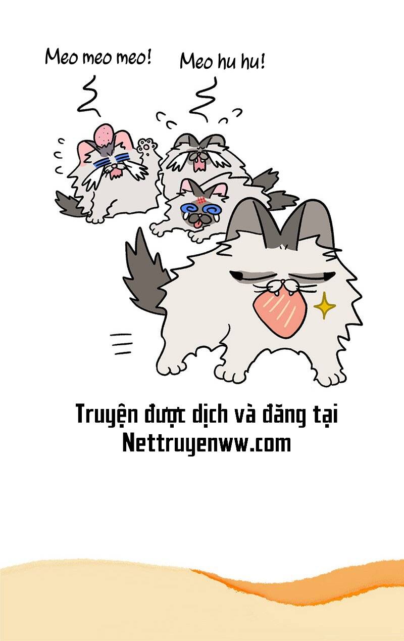 a mãn và mạch trà chapter 47.1 7