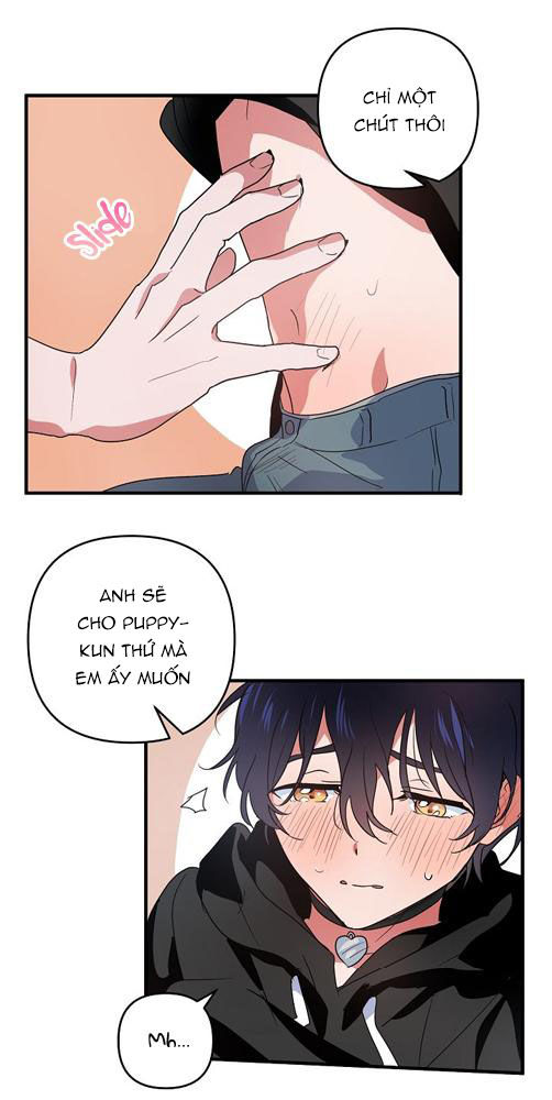 tình yêu cún con chapter 5.2 17