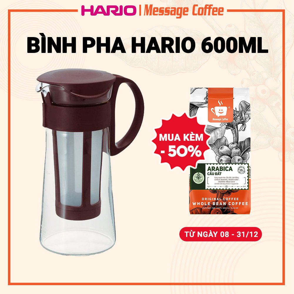 Bình pha cà phê Cold Brew, pha trà bằng thuỷ tinh cao cấp có lưới lọc chịu nhiệt cao thương hiệu Hario của Nhật Bản